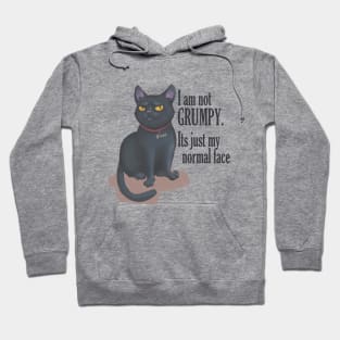 cat with groompy face Hoodie